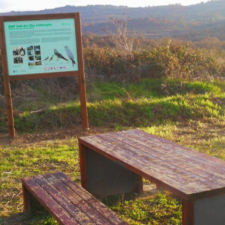 La Casa Dels Ocells (Adults Only) Panzió Granollers de Florejacs Kültér fotó