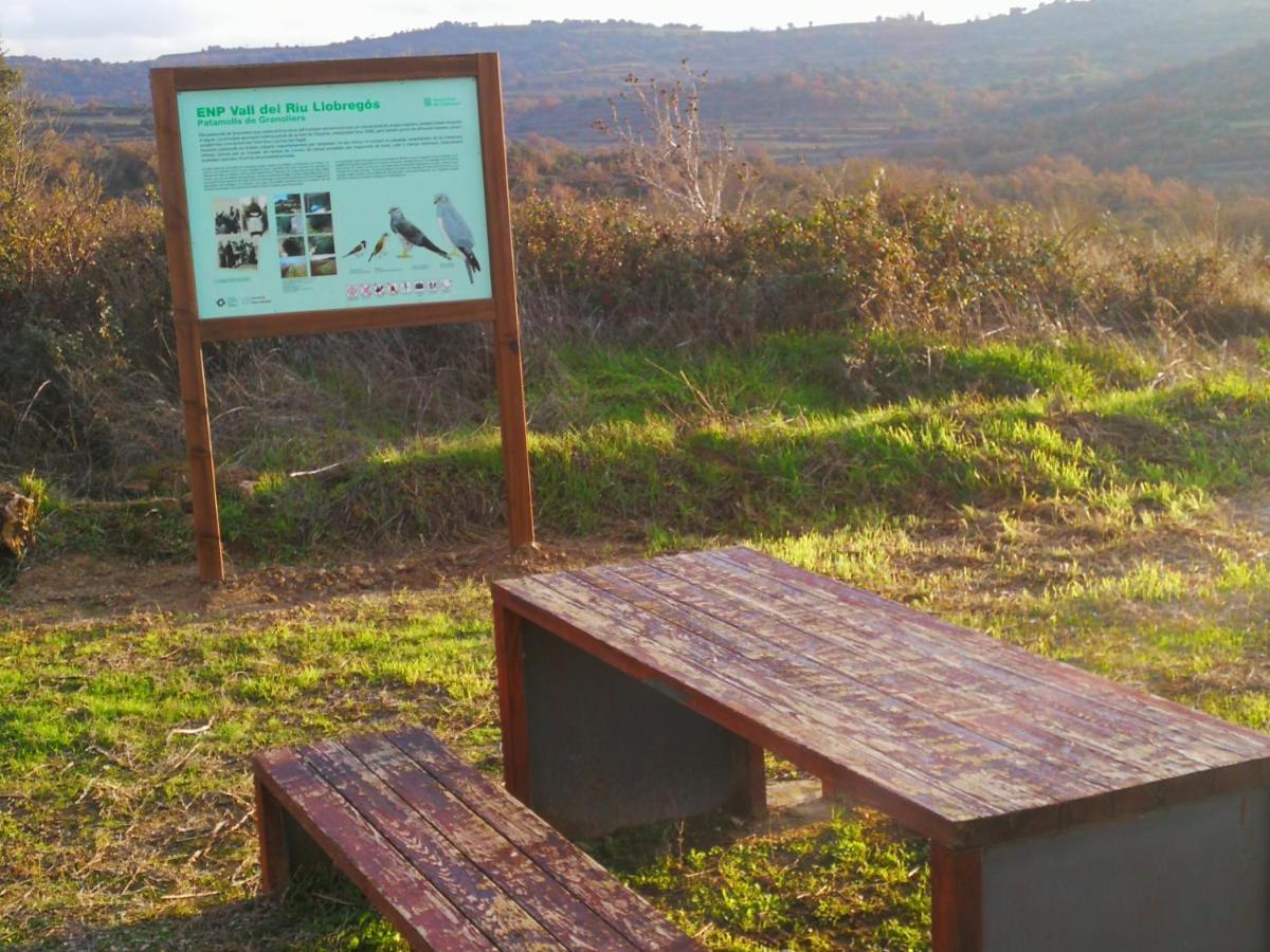 La Casa Dels Ocells (Adults Only) Panzió Granollers de Florejacs Kültér fotó