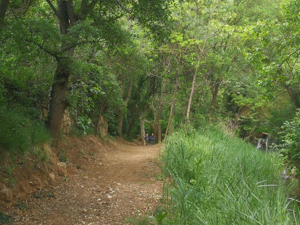 La Casa Dels Ocells (Adults Only) Panzió Granollers de Florejacs Kültér fotó